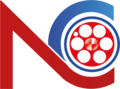 NoeCee Global logo